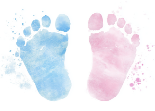 Baby Shower Catering